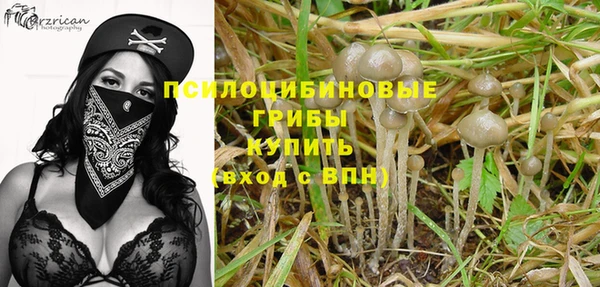 синтетический гашиш Алексин